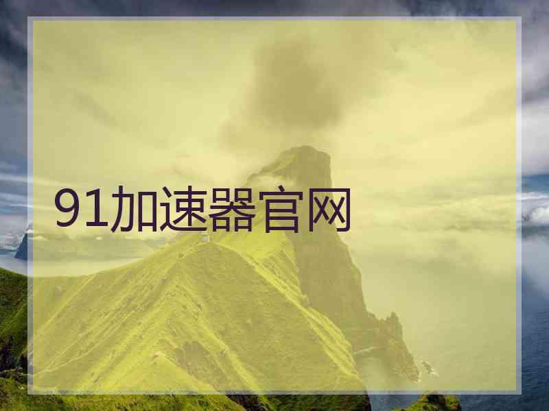 91加速器官网