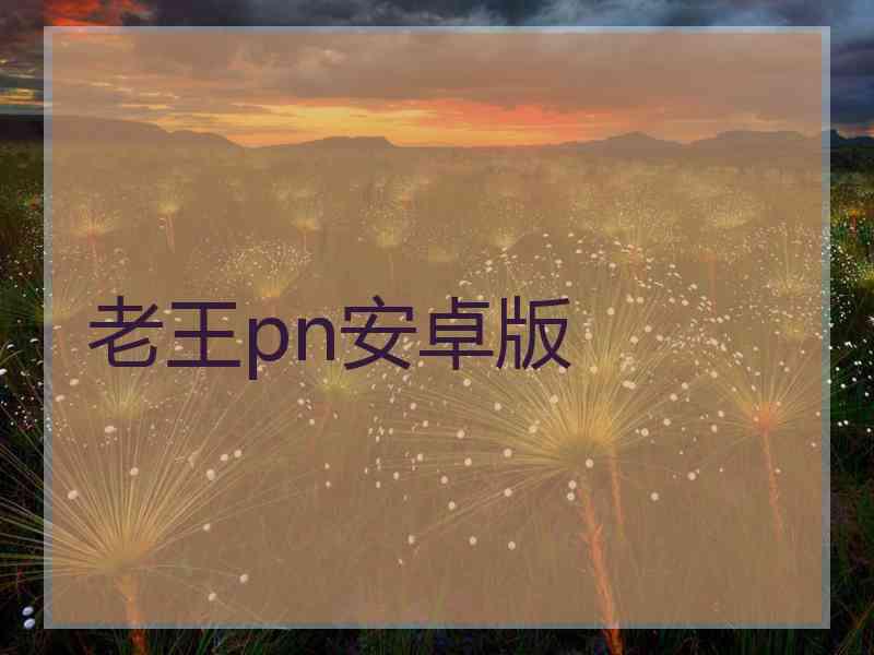 老王pn安卓版