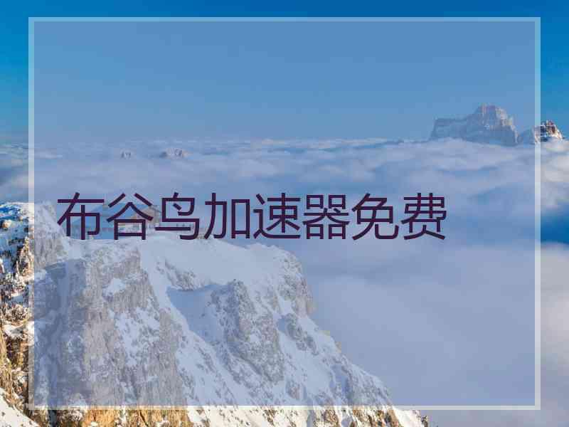 布谷鸟加速器免费