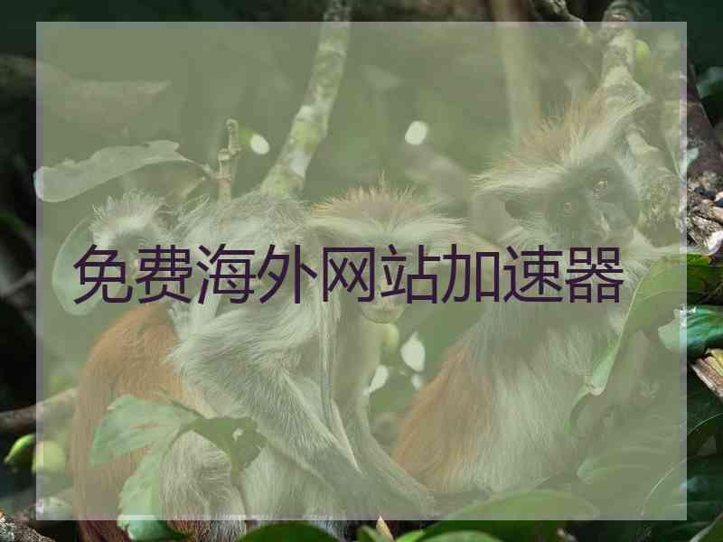 免费海外网站加速器