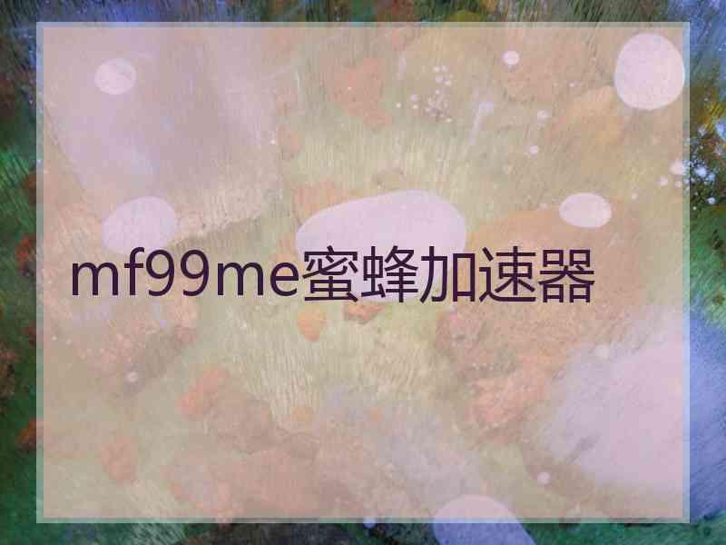 mf99me蜜蜂加速器