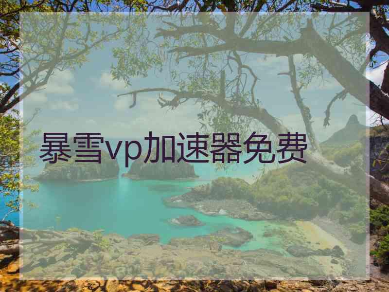 暴雪vp加速器免费