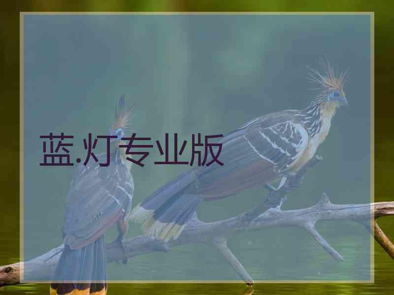 蓝.灯专业版