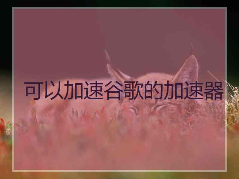 可以加速谷歌的加速器