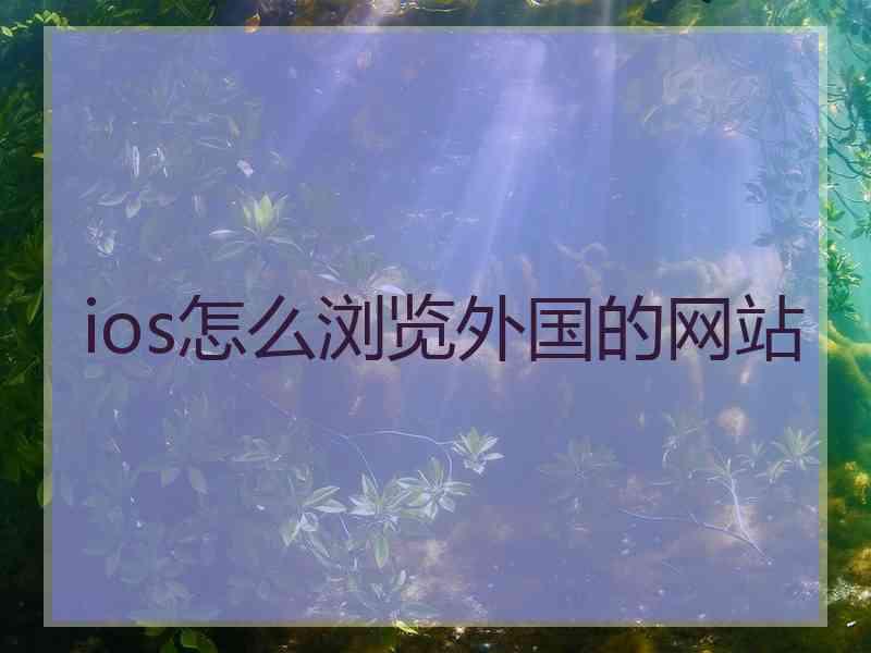 ios怎么浏览外国的网站