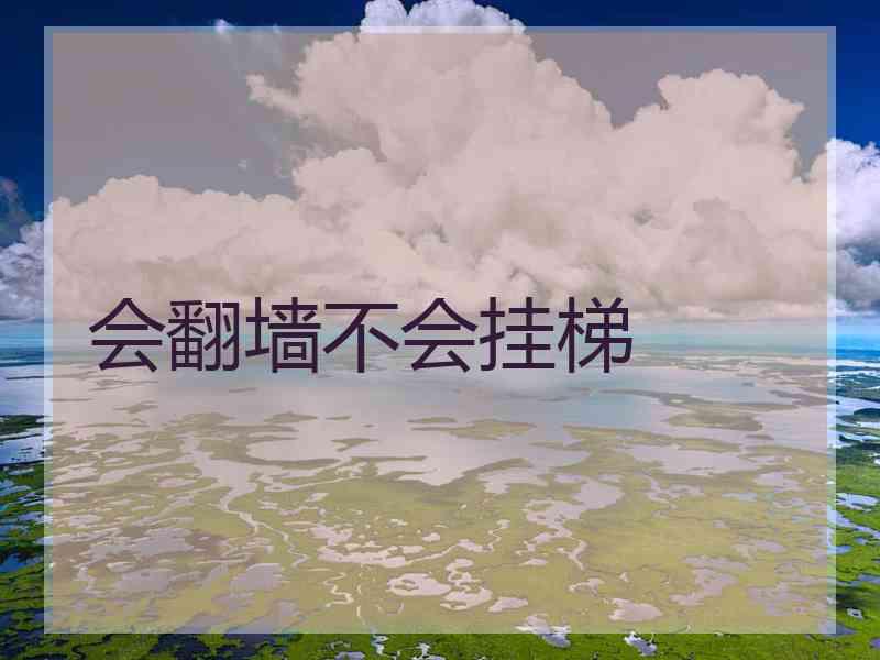 会翻墙不会挂梯