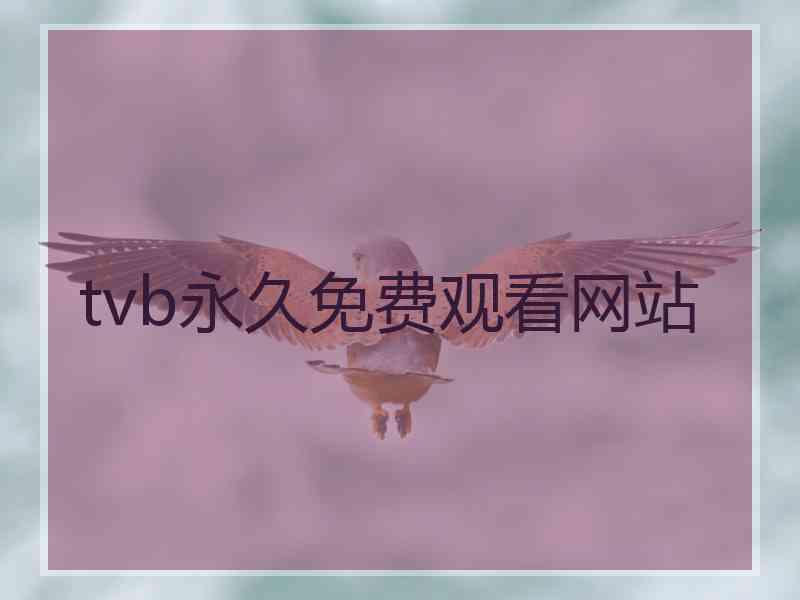 tvb永久免费观看网站