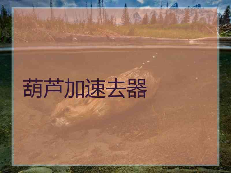 葫芦加速去器