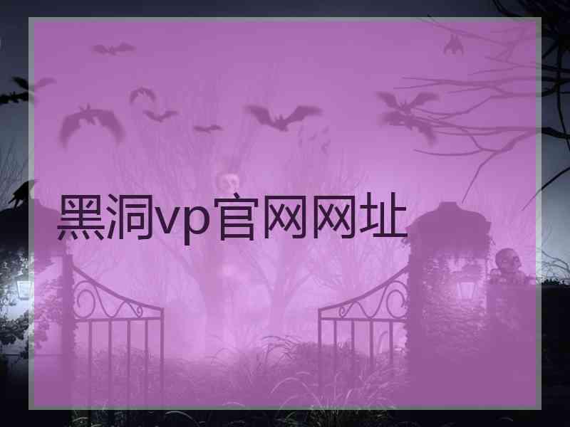 黑洞vp官网网址