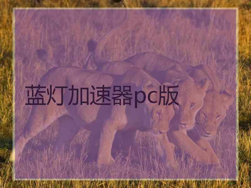 蓝灯加速器pc版