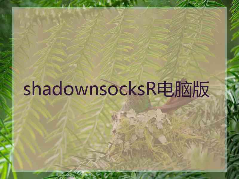 shadownsocksR电脑版