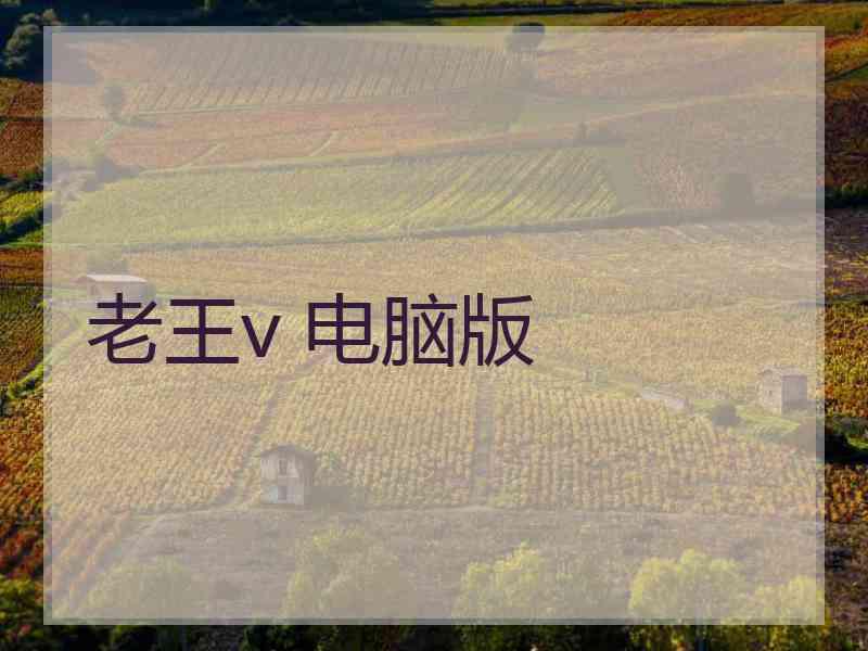 老王v 电脑版
