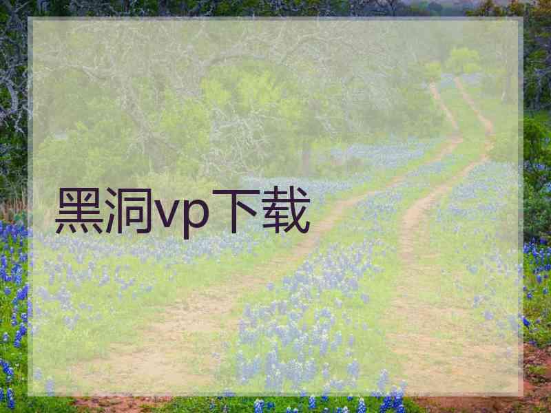 黑洞vp下载