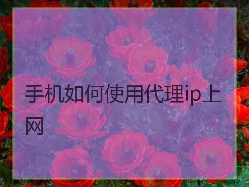 手机如何使用代理ip上网