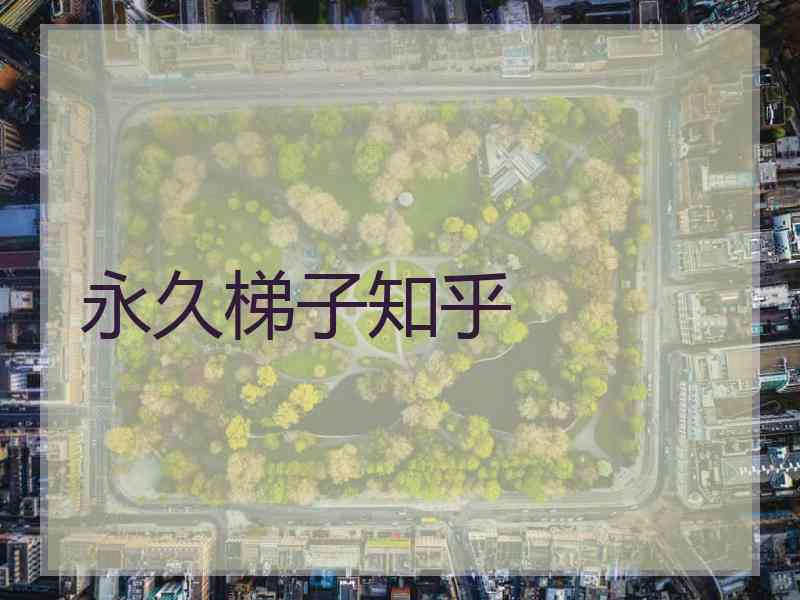 永久梯子知乎