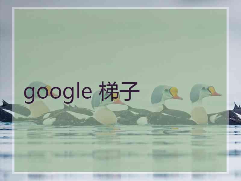 google 梯子