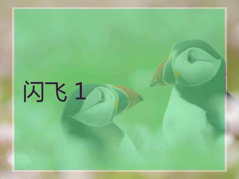 闪飞 1