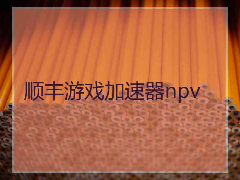 顺丰游戏加速器npv