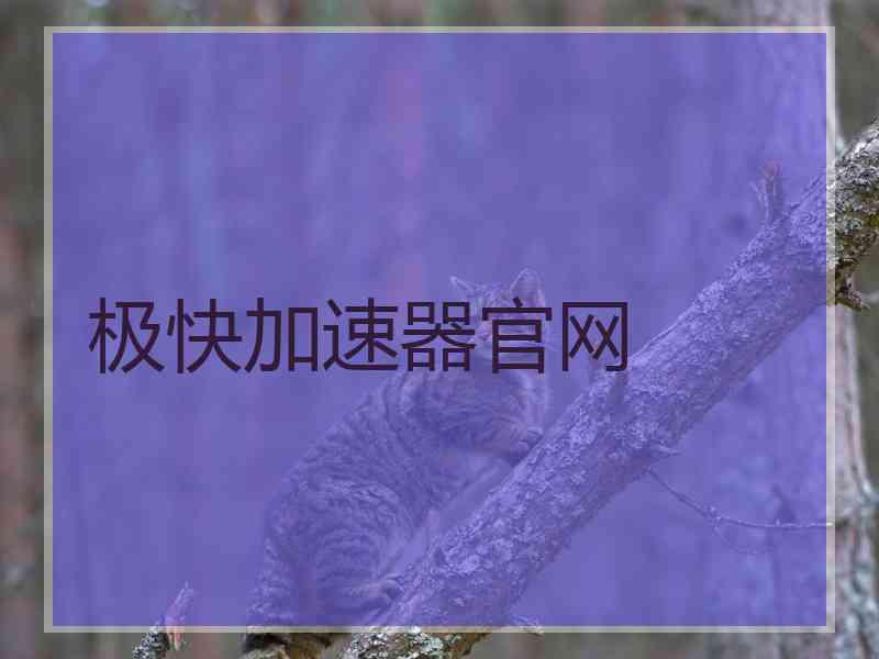 极快加速器官网