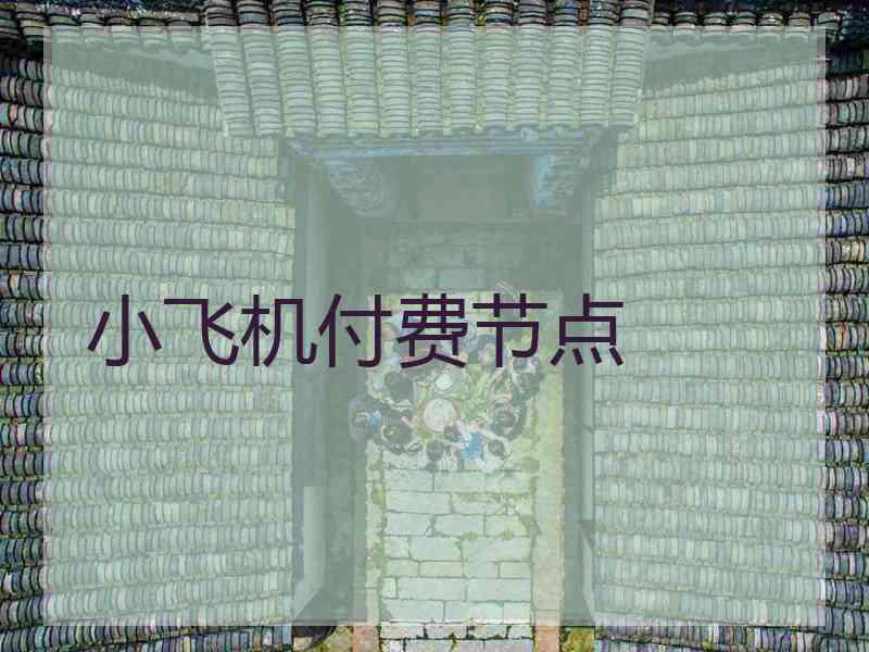 小飞机付费节点