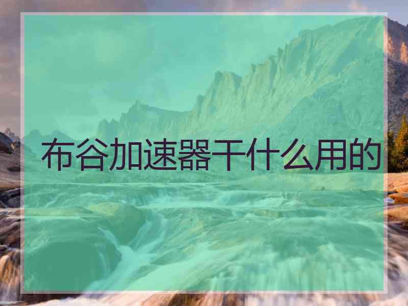 布谷加速器干什么用的