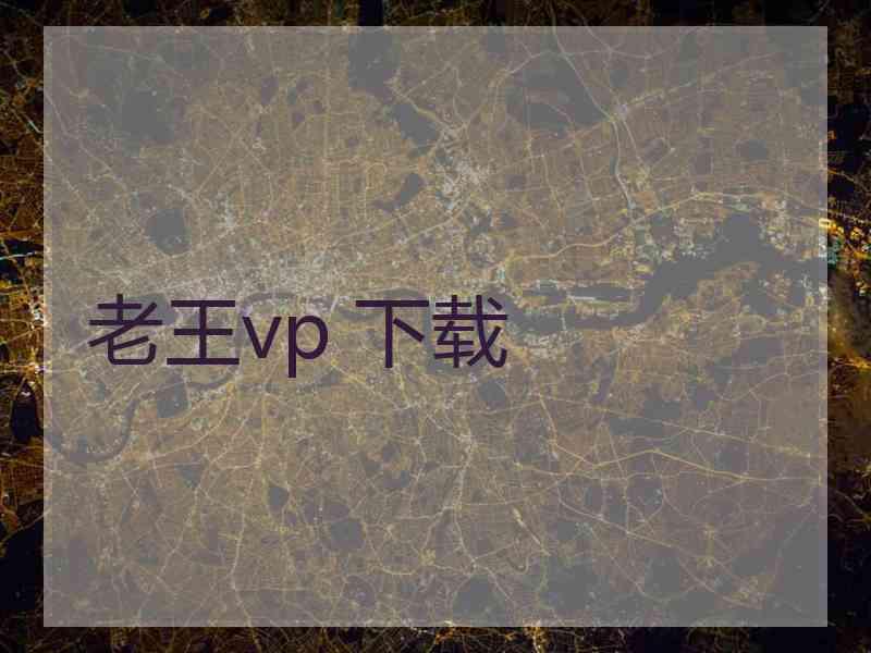 老王vp 下载