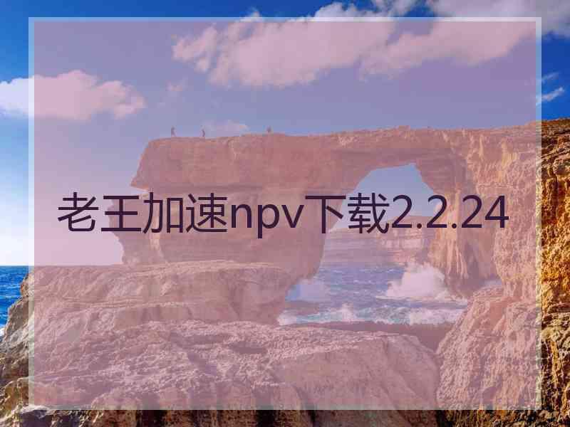 老王加速npv下载2.2.24