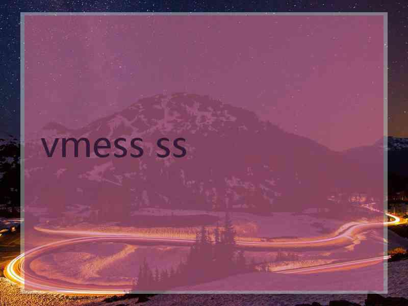 vmess ss