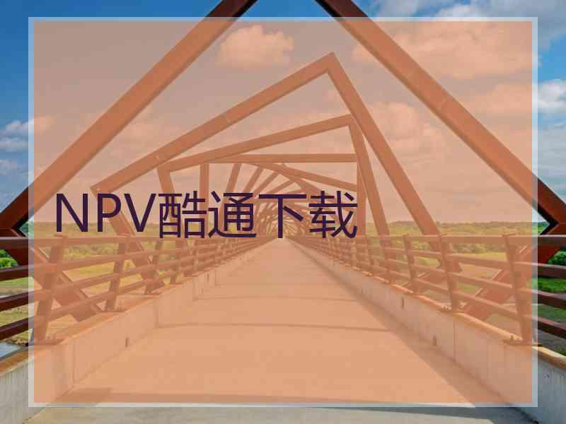 NPV酷通下载