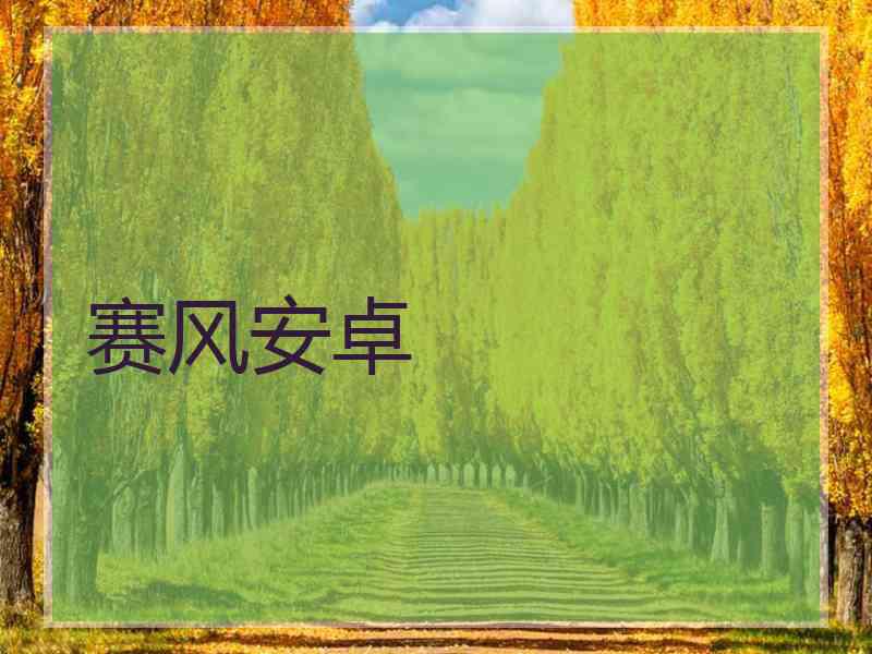 赛风安卓