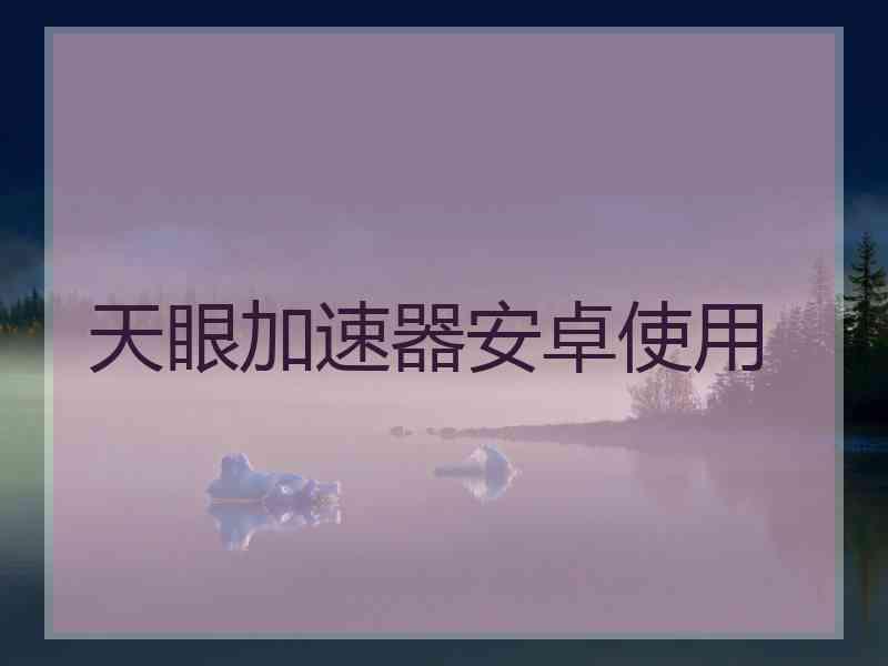 天眼加速器安卓使用
