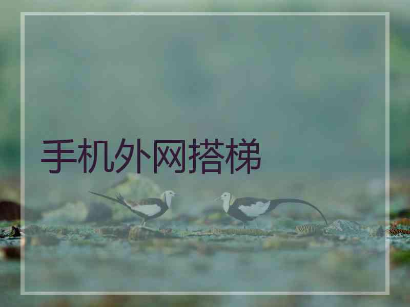 手机外网搭梯