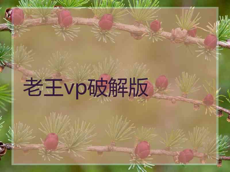 老王vp破解版