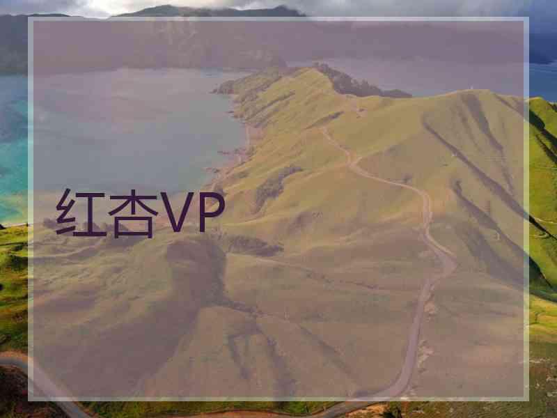 红杏VP