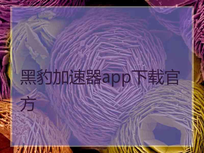 黑豹加速器app下载官方