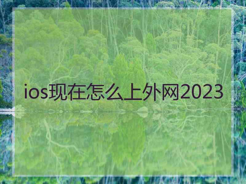 ios现在怎么上外网2023