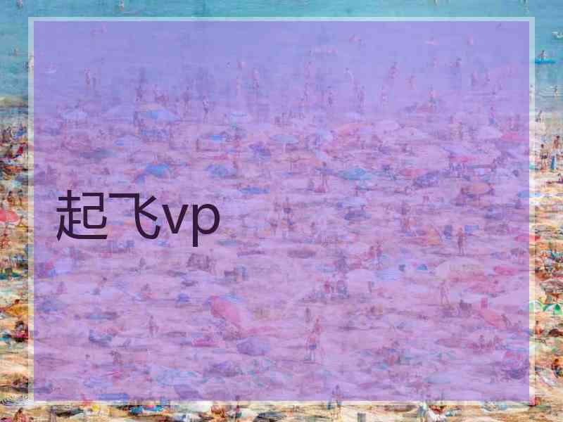 起飞vp