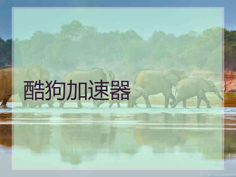 酷狗加速器