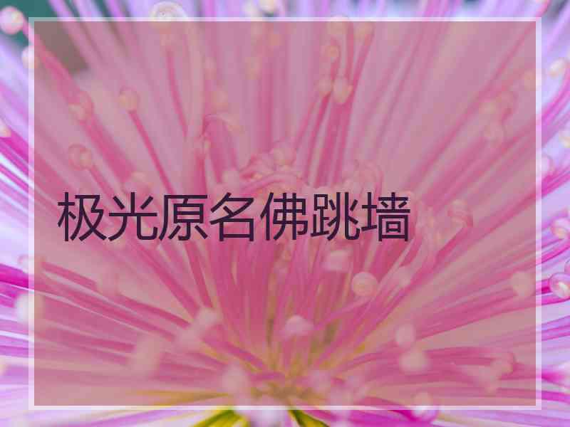 极光原名佛跳墙