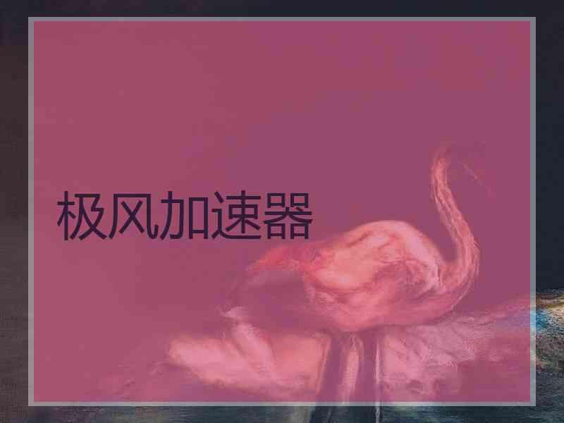 极风加速器