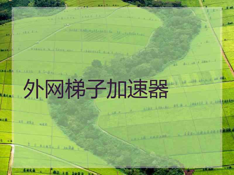外网梯子加速器