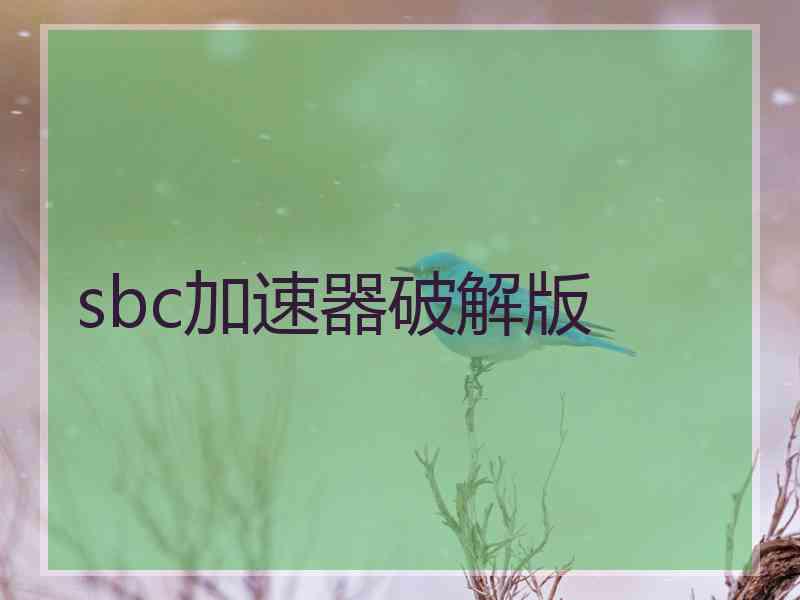 sbc加速器破解版