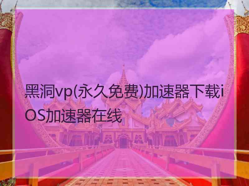 黑洞vp(永久免费)加速器下载iOS加速器在线