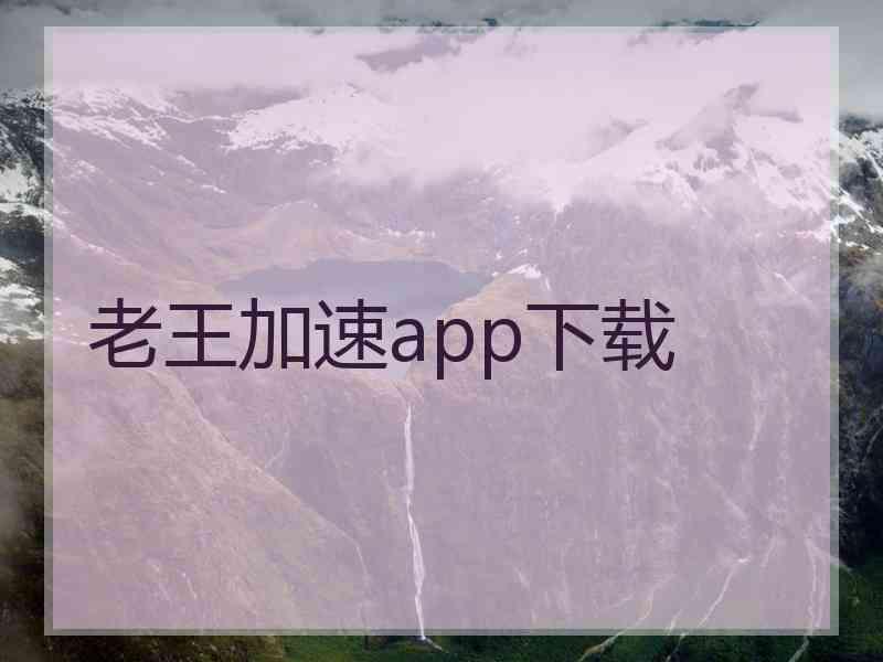 老王加速app下载