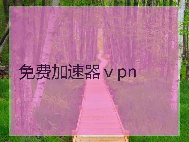 免费加速器ⅴpn