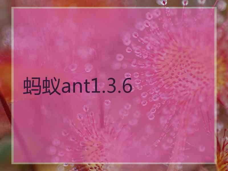 蚂蚁ant1.3.6
