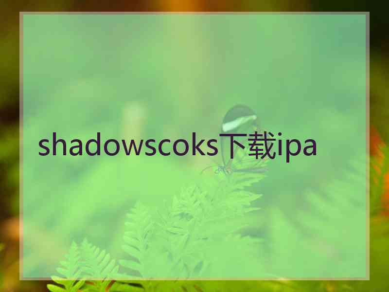 shadowscoks下载ipa
