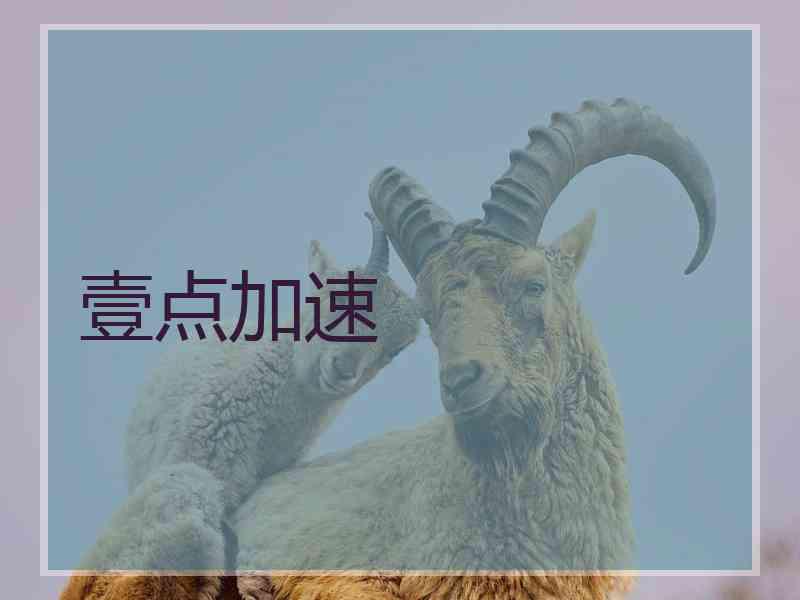 壹点加速