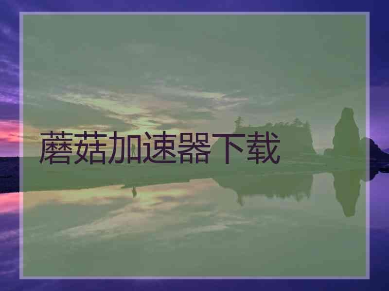 蘑菇加速器下载