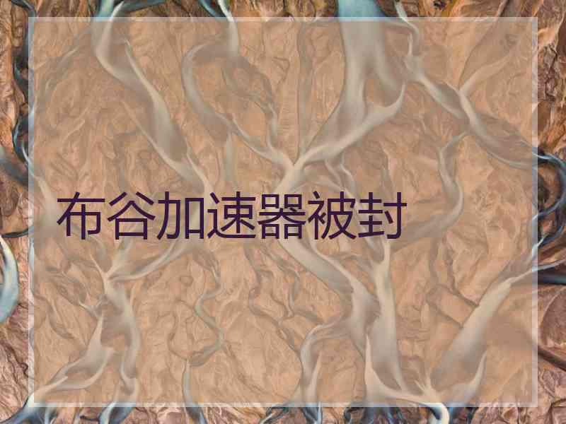 布谷加速器被封